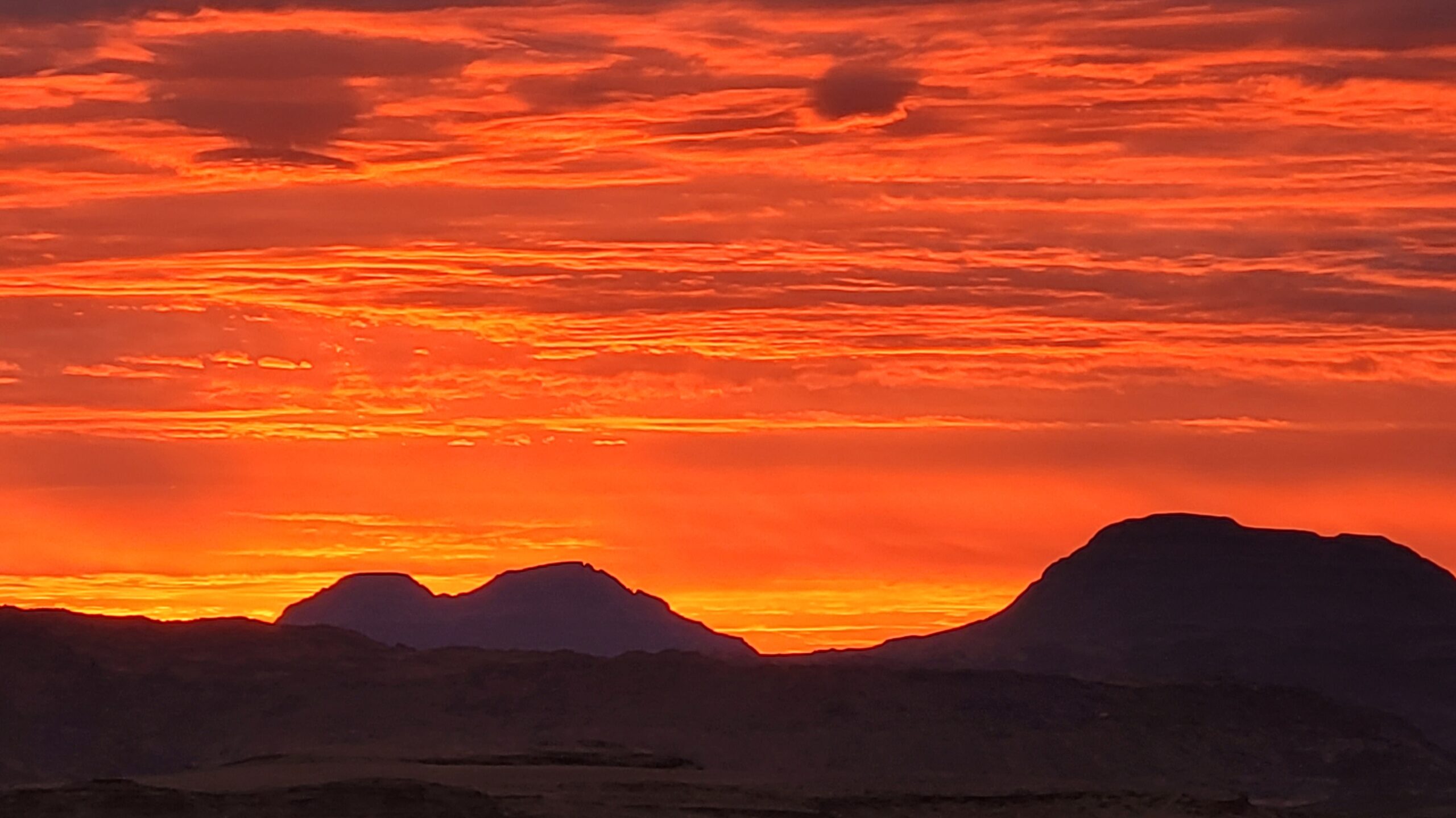 Mehr über den Artikel erfahren Namibia